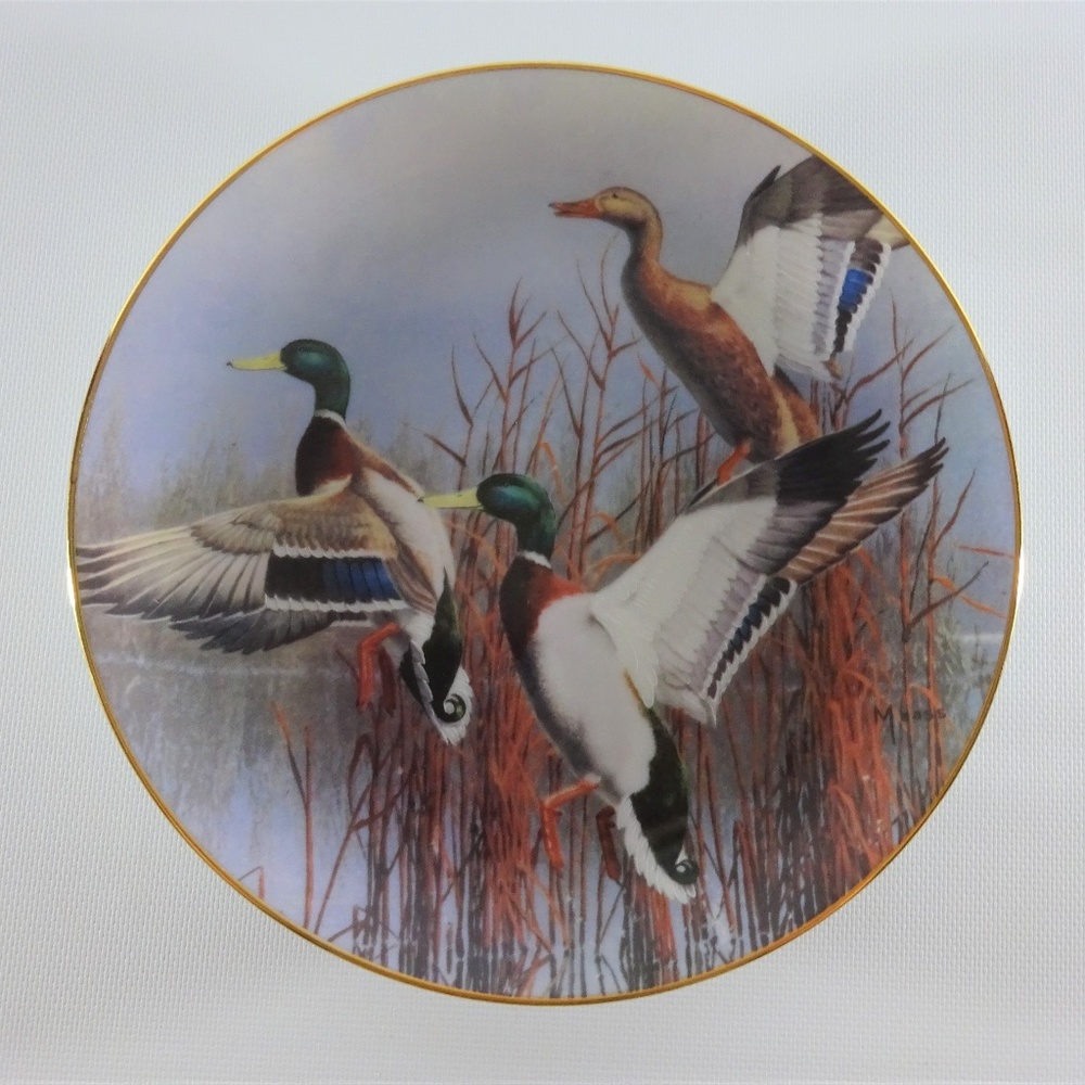 Hazy Ascent by David Maass Ducks Taking Flight